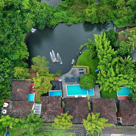 Athirapally Green Trees Athirappilly Exterior photo