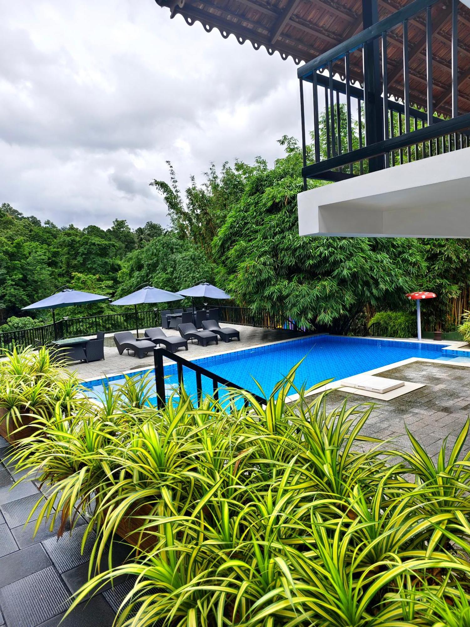 Athirapally Green Trees Athirappilly Exterior photo
